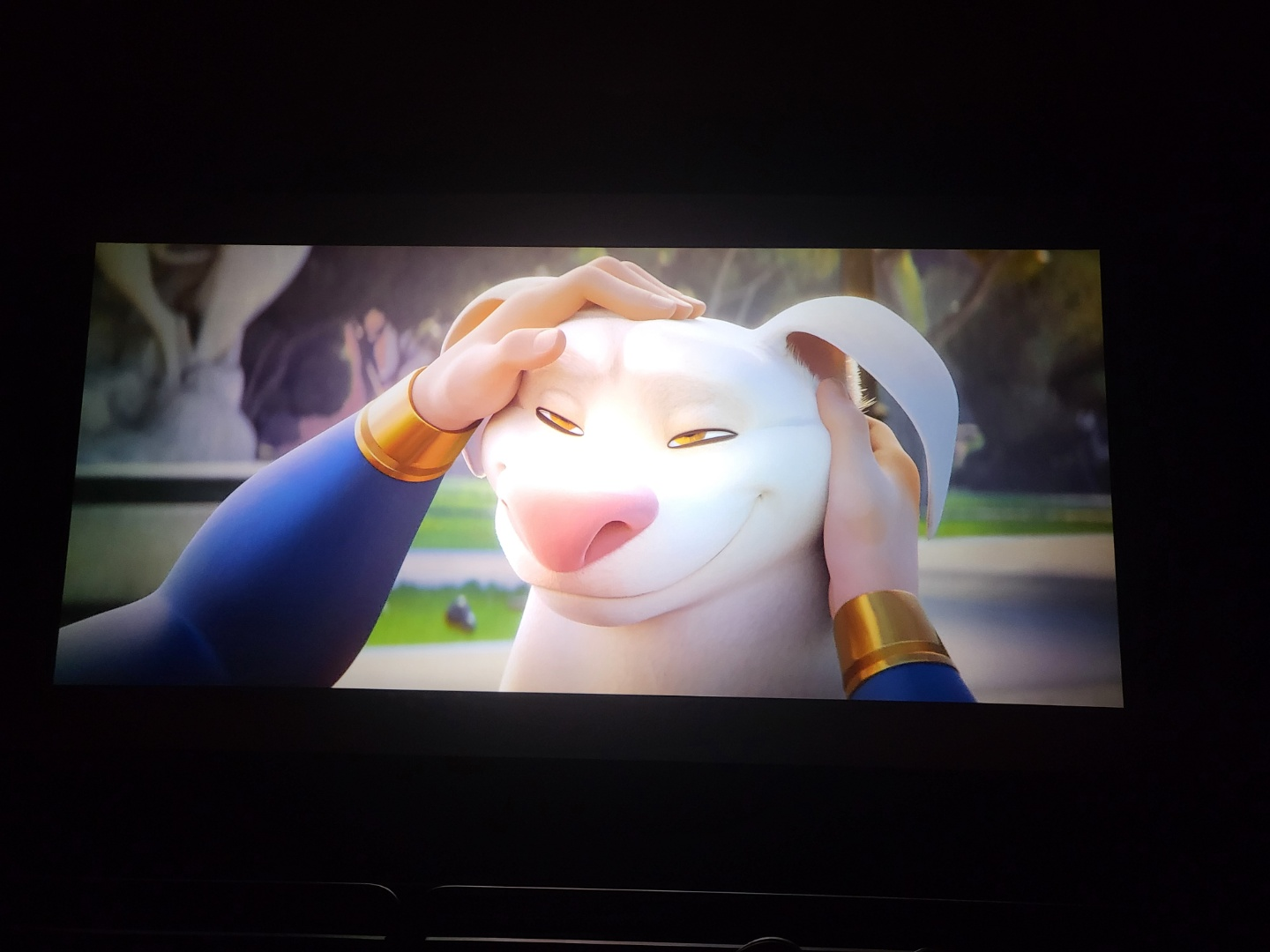 청주CGV 터미널점 (DC 리그 오브 슈퍼 펫)