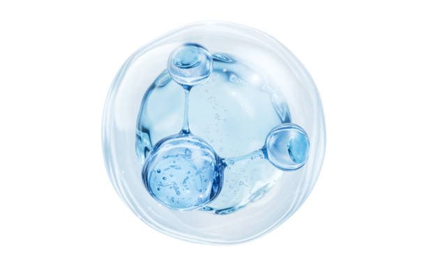 “1% 미만의 세계”전성분표에서 숨겨진 진짜 이야기