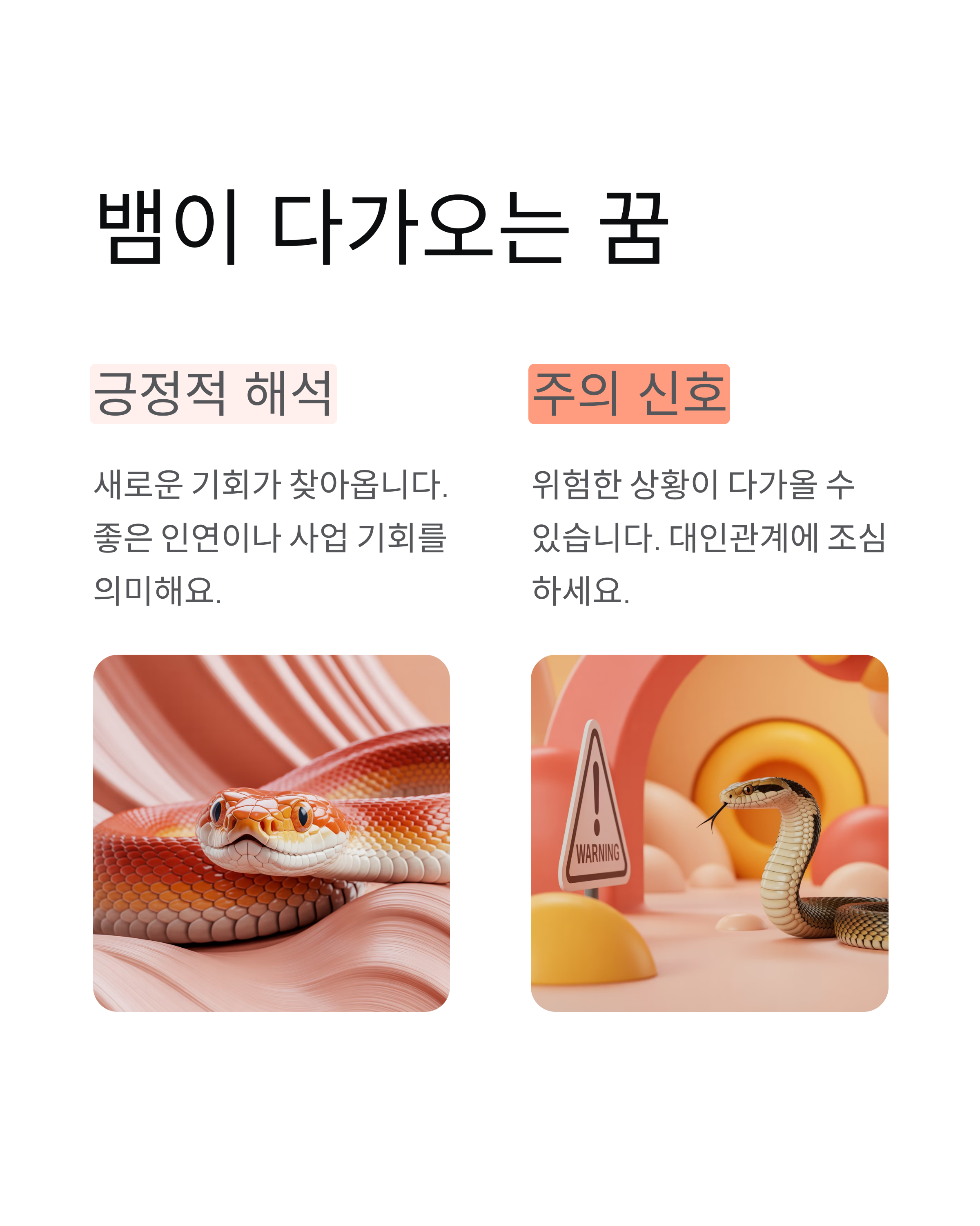 뱀꿈 색깔별,상황별 해몽 완벽정리!