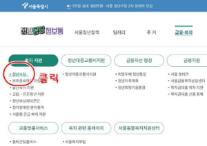 서울시 청년수당 신청