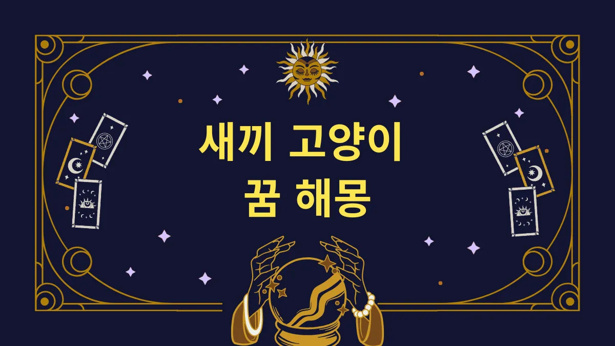 새끼 고양이 꿈 해몽 썸네일