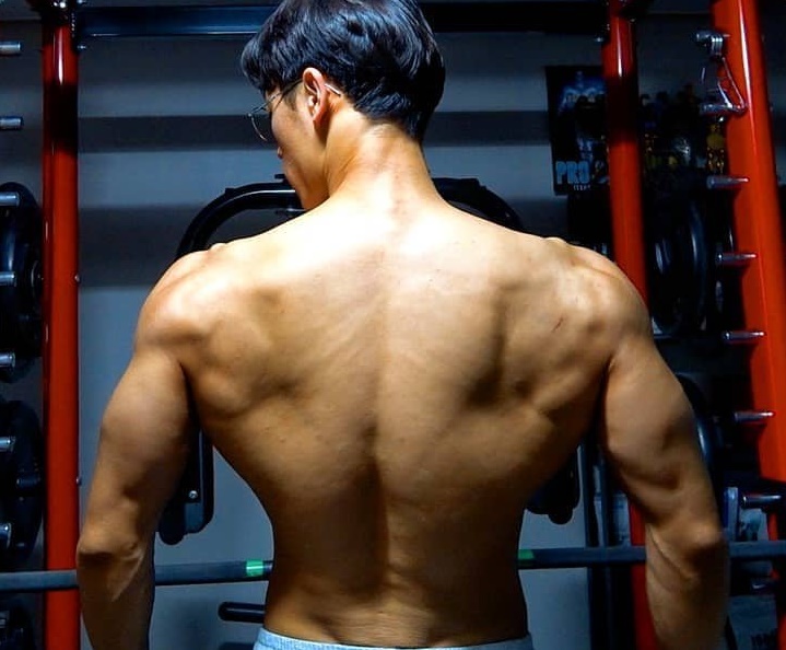 운지기 티비 등운동