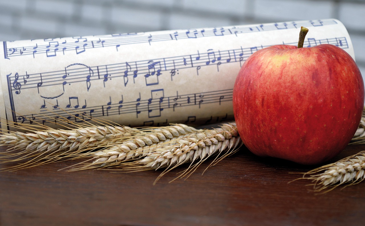 작사와 작곡, 나를 표현하는 차이와 장점 관련 사진