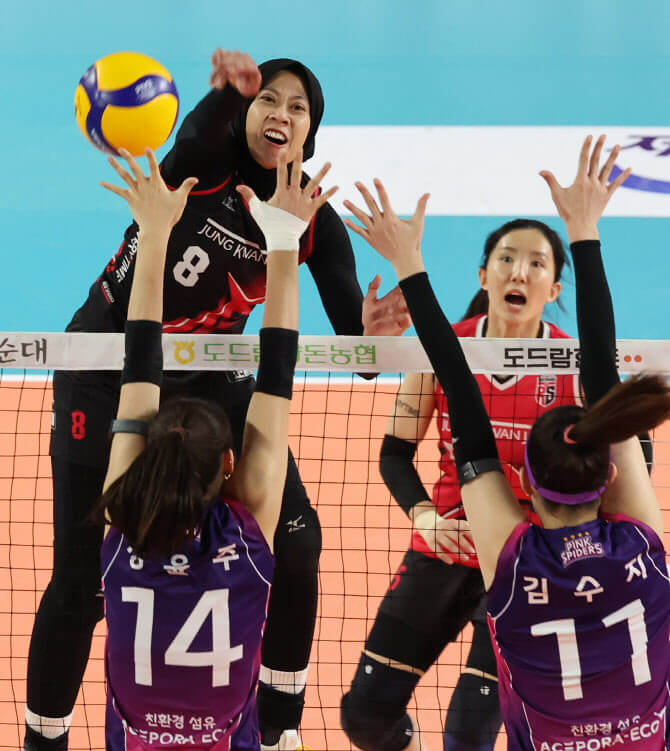 정관장의 반격 vs 흥국생명의 자존심&hellip; V리그 챔피언결정전 대미 장식