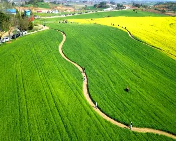 고창 청보리밭 축제_24