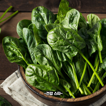 비타민b2 많은 음식