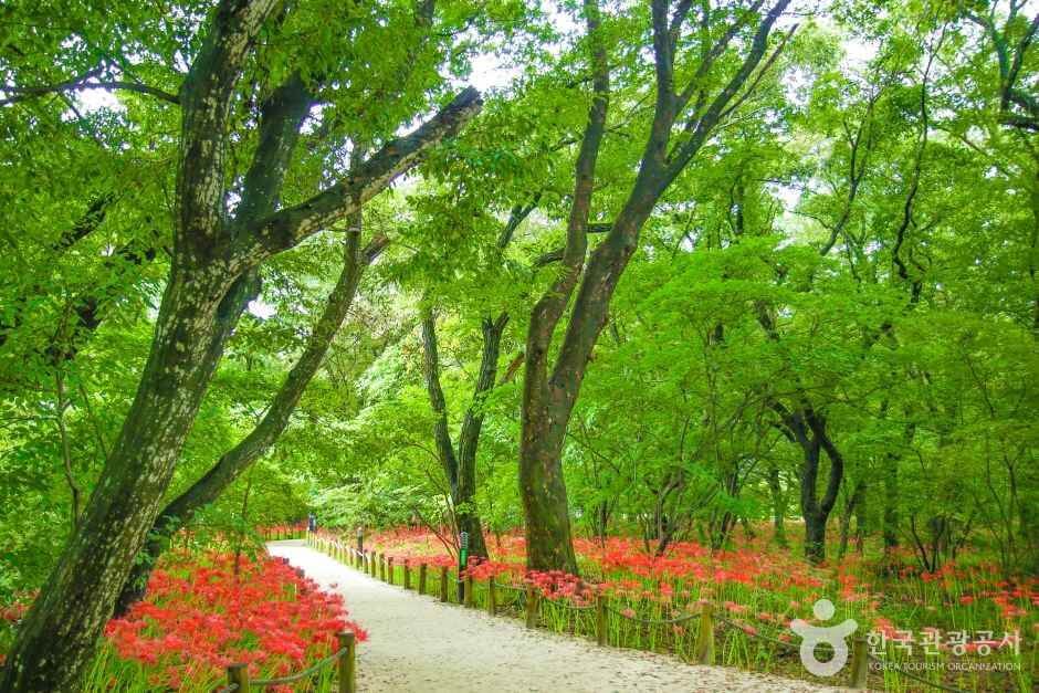 함양 가볼만한곳 베스트 10
