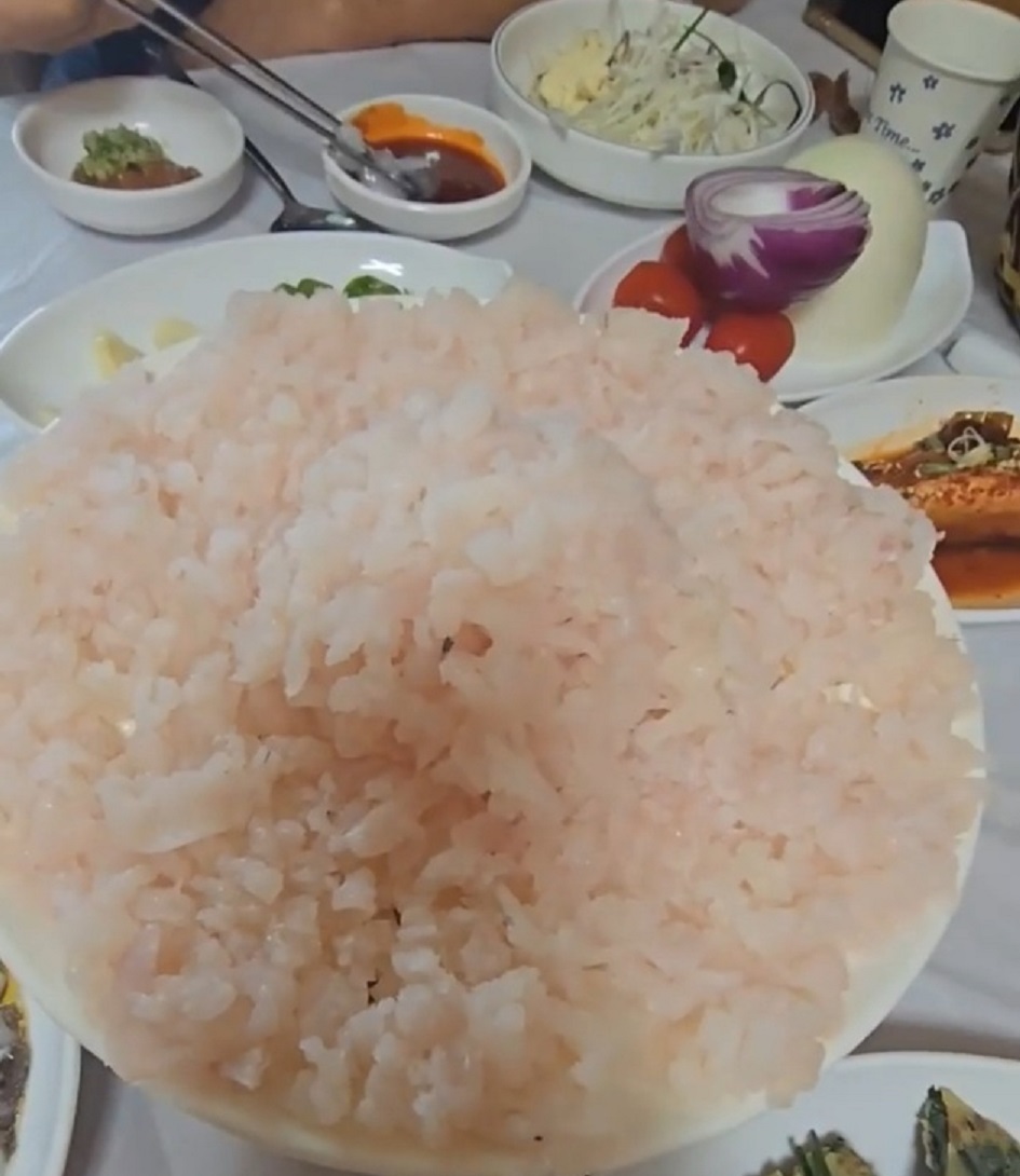 군령포하모자연산횟집-여름바다가약이다-보양생선