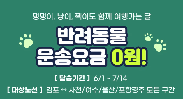 6월 여행가는 달, 교통혜택