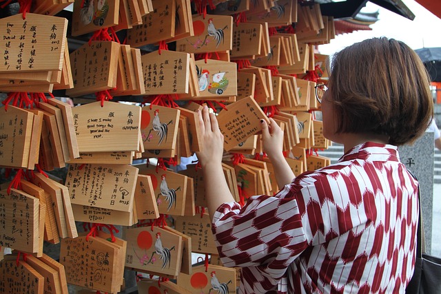 뱀에게 쫓기는 꿈 해몽 풀이