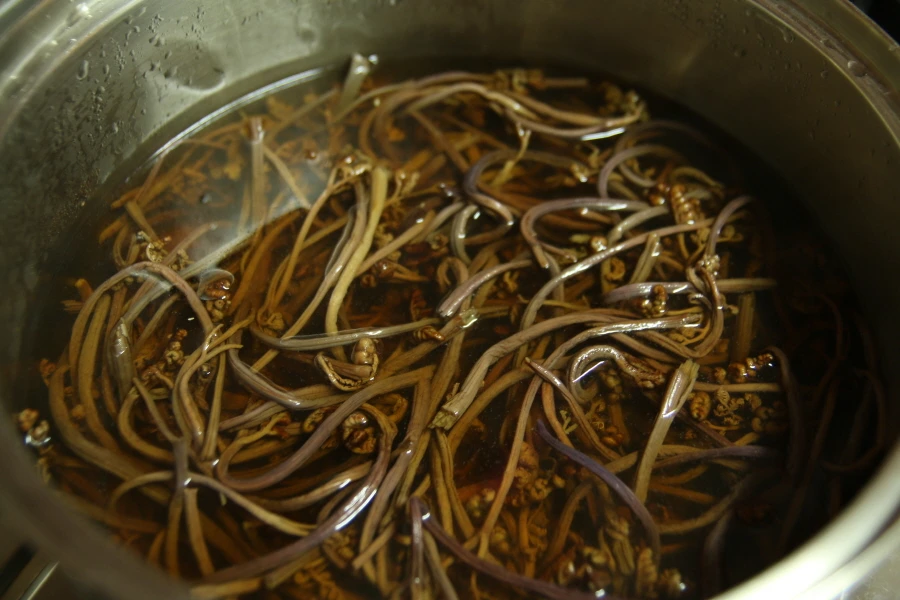 고사리 불리는 모습