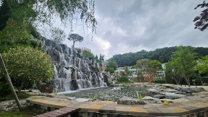 용인 자작나무숲