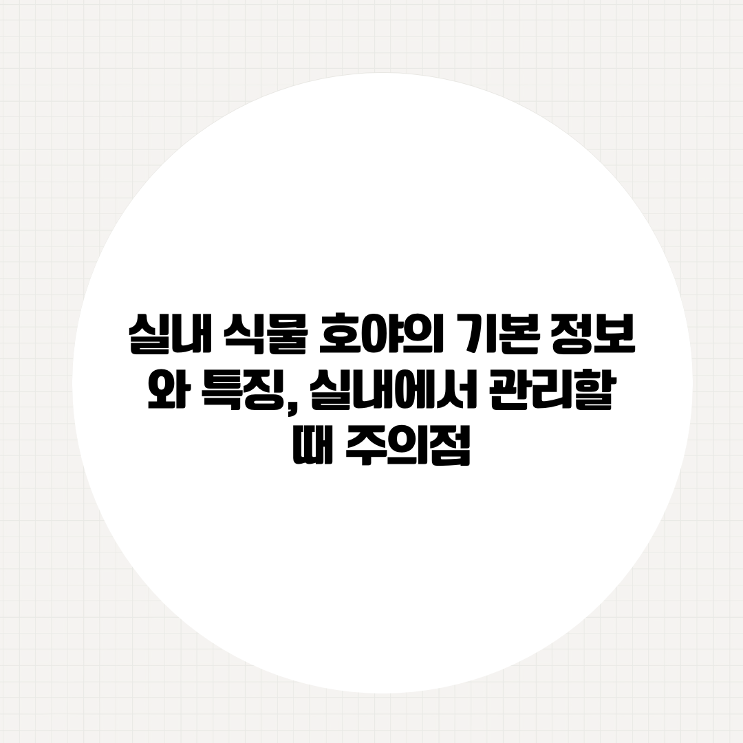 실내 식물 호야