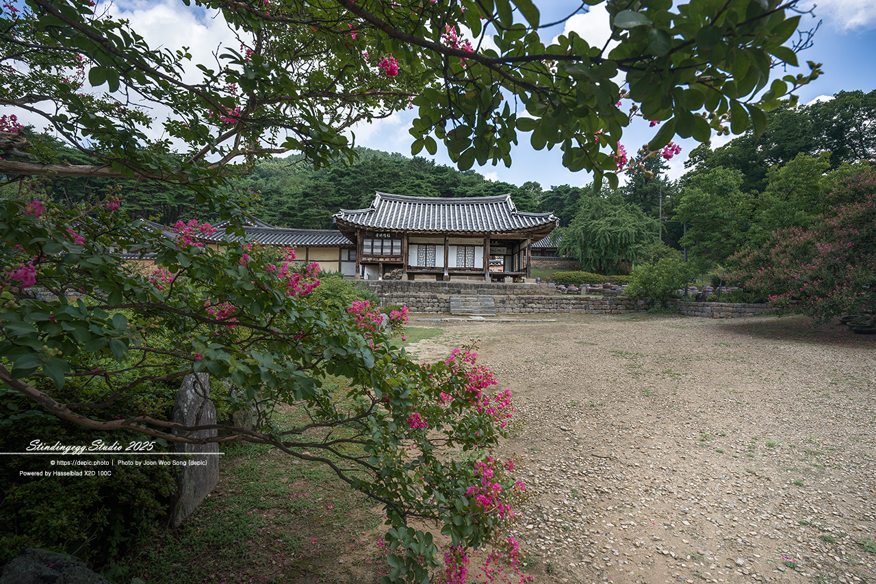 #논산 #명재고택 #고택 #배롱꽃