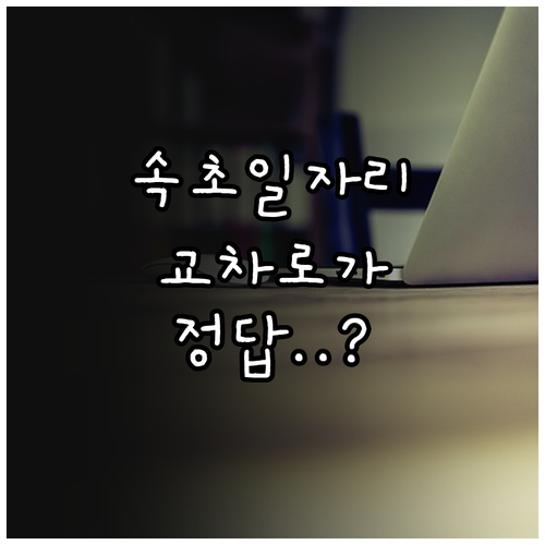 속초 지역 일자리 정보 속초 교차로 ..