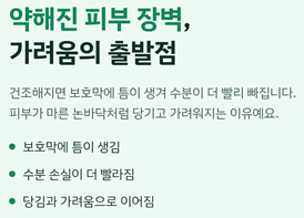 겨울철 피부 건조 가려움