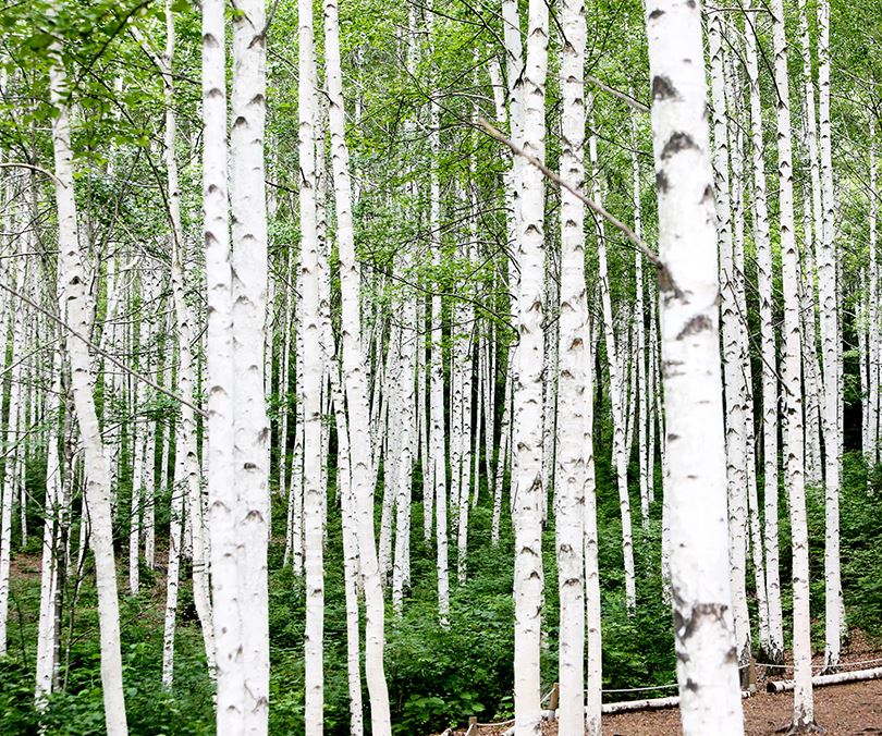 국내겨울여행지추천