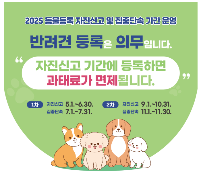 '2025 반려견 동물등록' 포스트