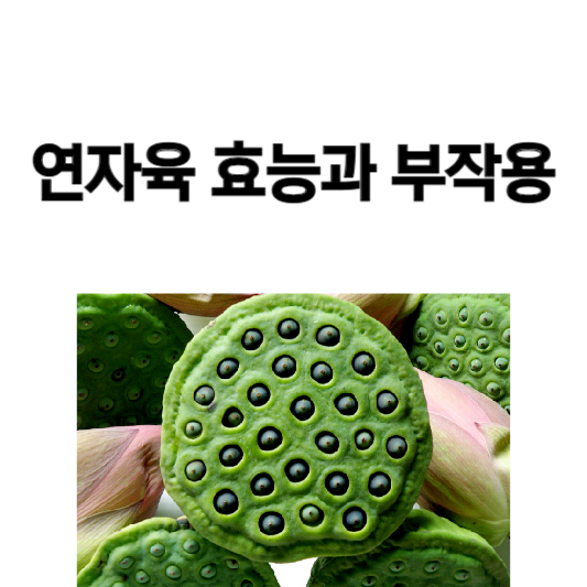 연자육 효능과 부작용