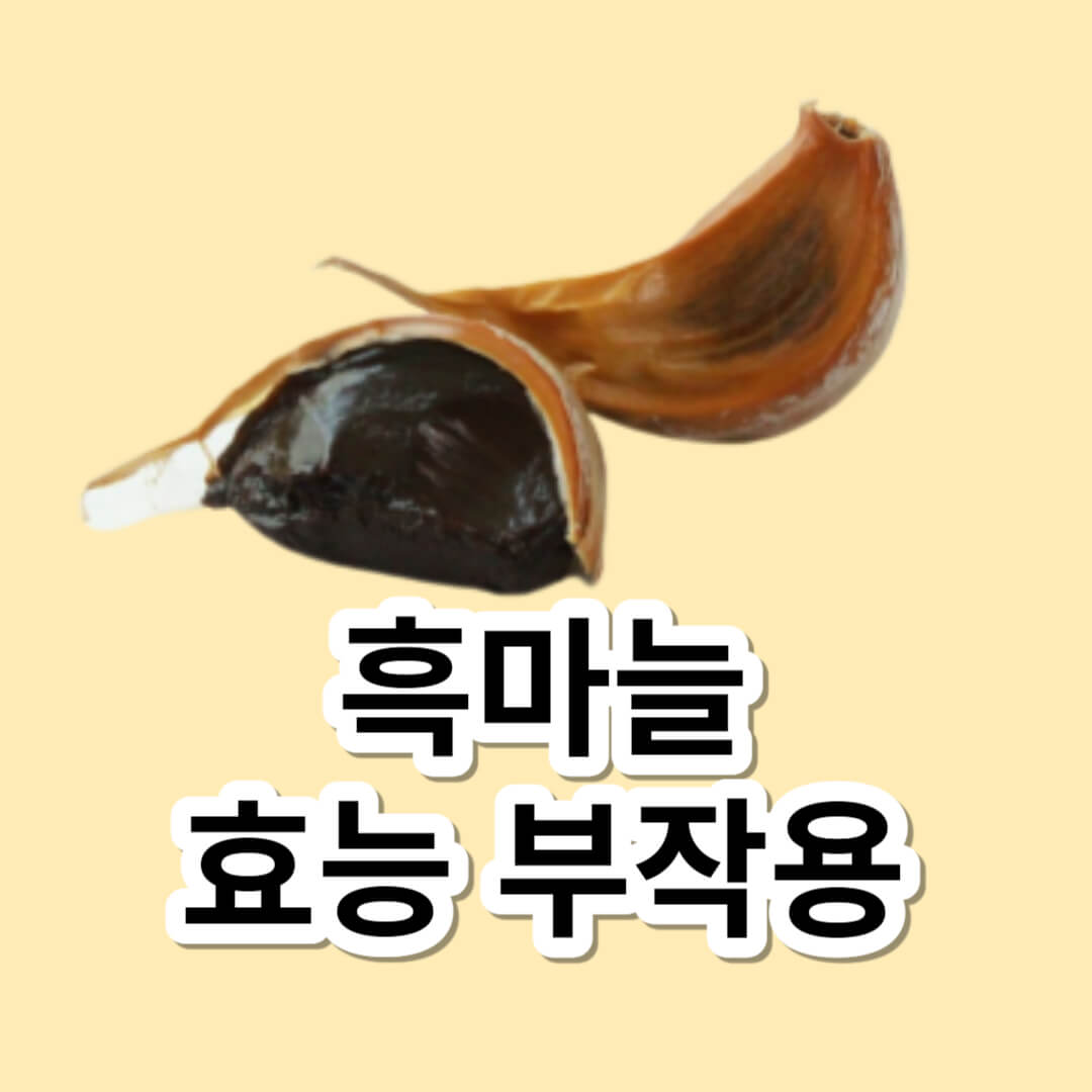 흑마늘 효능 부작용