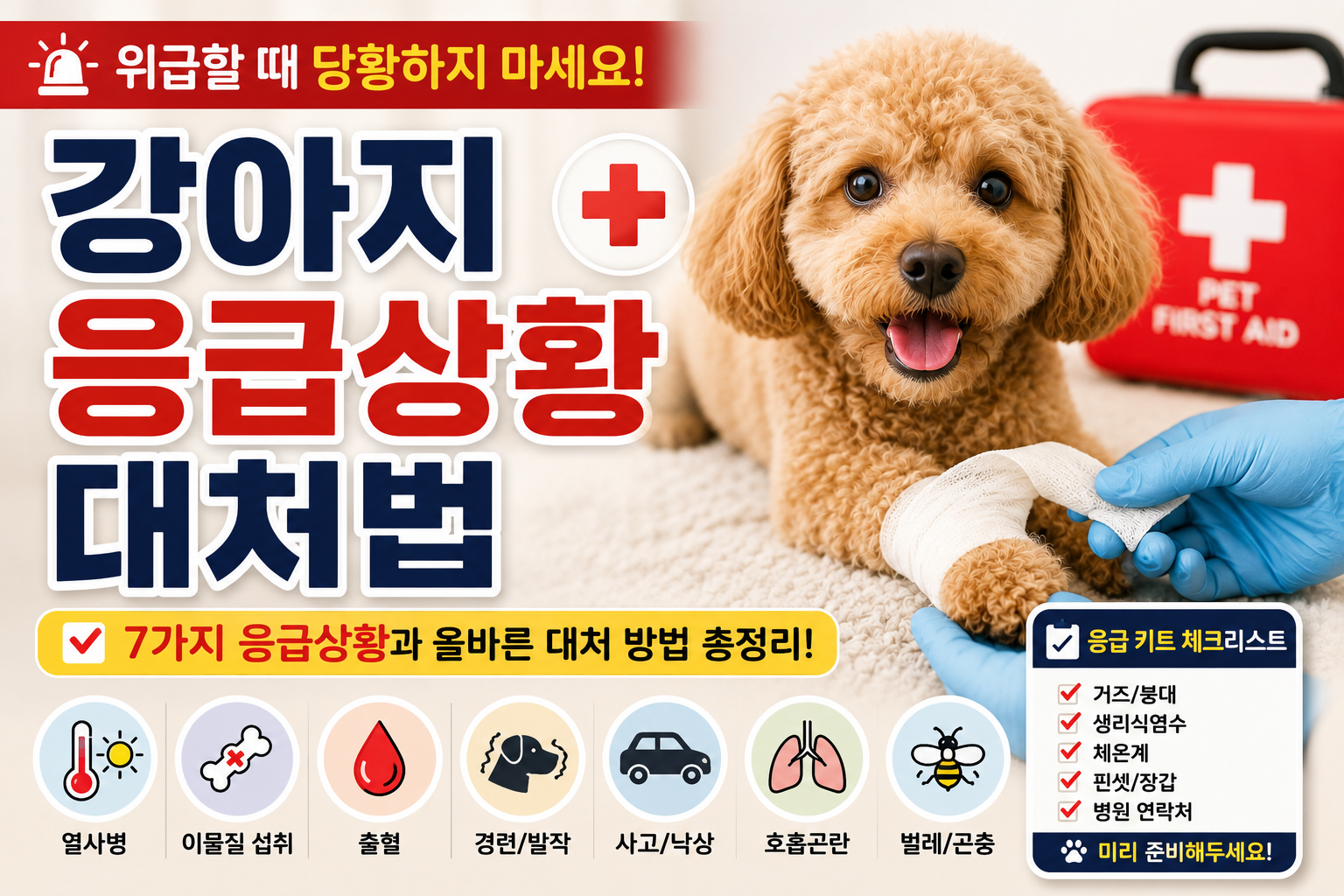 강아지 응급상황 대처법|보호자가 꼭 알아야 할 응급처치 가이드