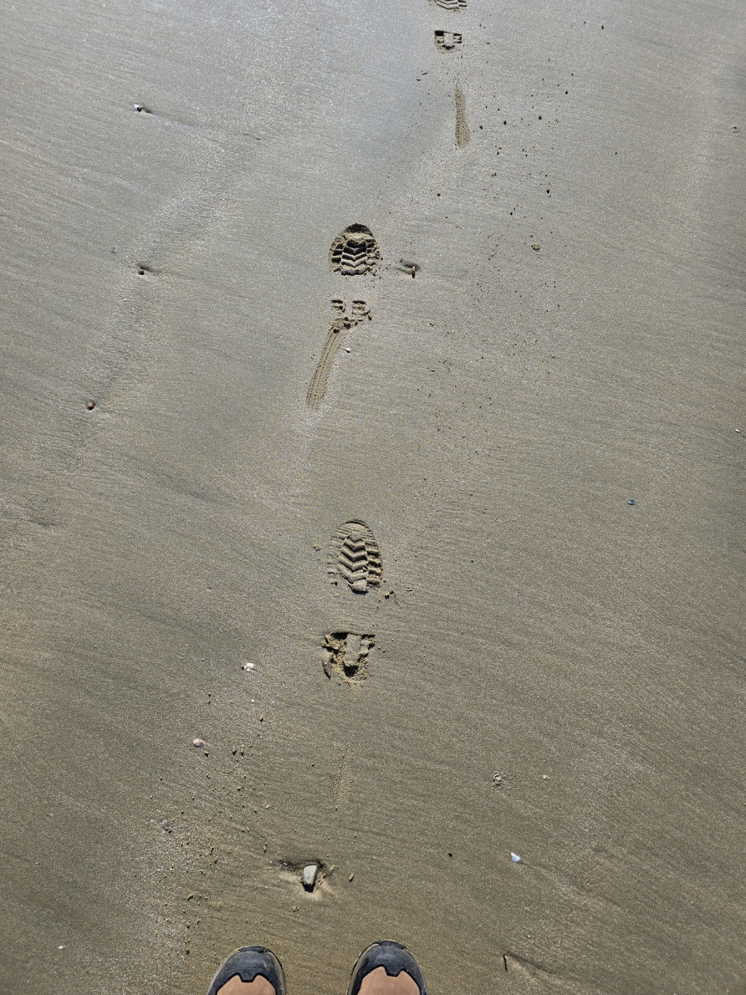 갯벌이 딱딱해서 아무신발이나 신고 들어가도 좋아요
