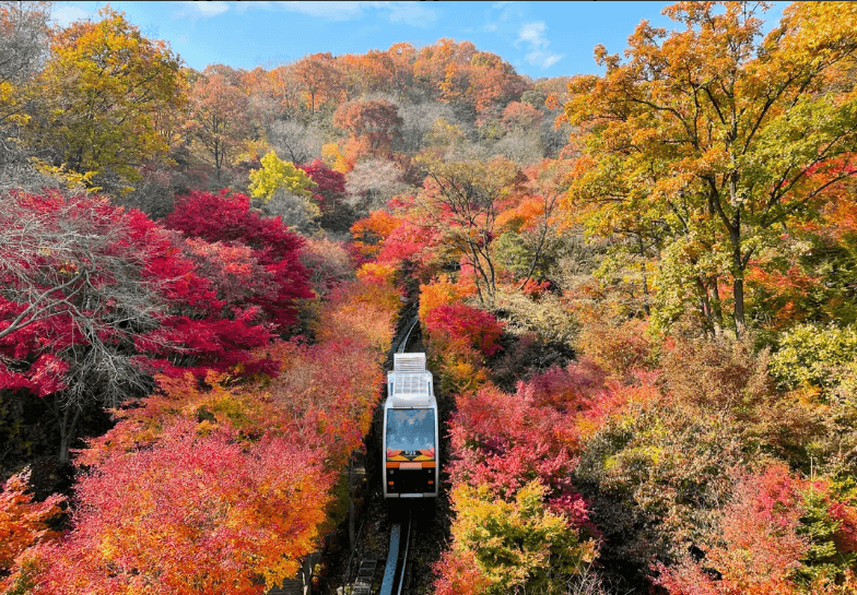 화담숲 주말 예약 성공 노하우