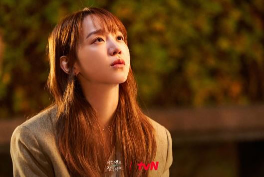 신헤선