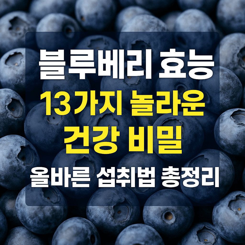 블루베리-효능-13가지-옯바른-섭취번-블로그-섬네일