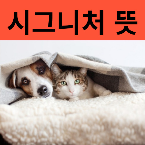 시그니처뜻