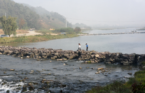 진천 농다리 축제 
