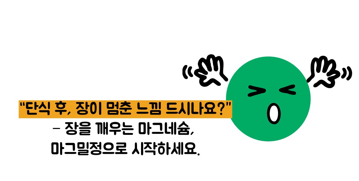 마그밀정 효능 부작용