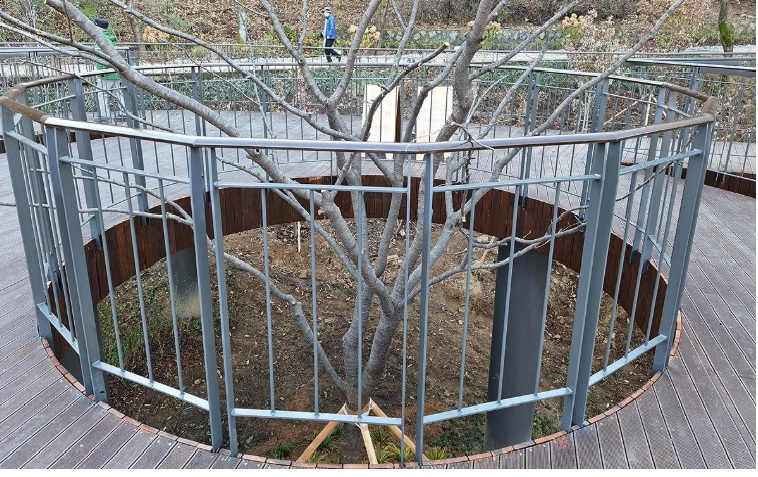 용마산 스카이워크 전망대 가는법