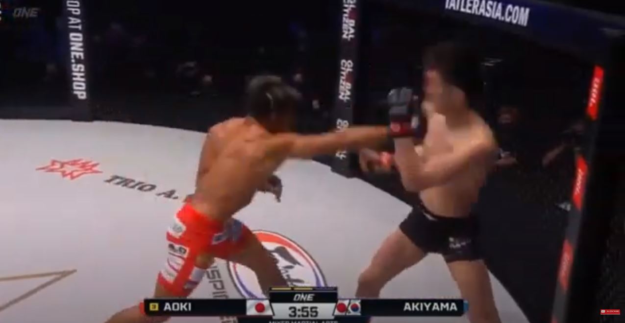 펀치를 날리는 추성훈