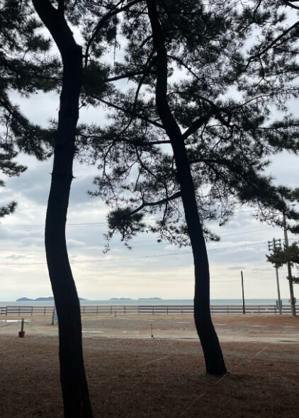 태안 지진 위치 지도