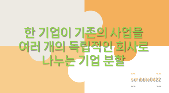 기업 분할