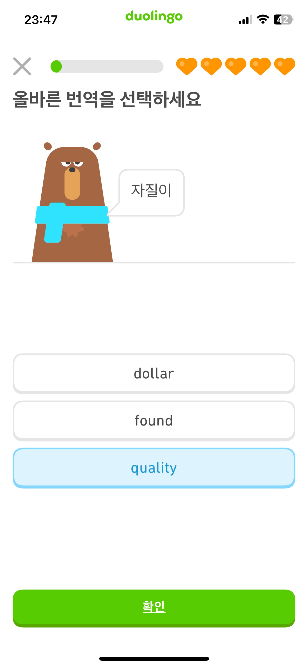 duolingo8