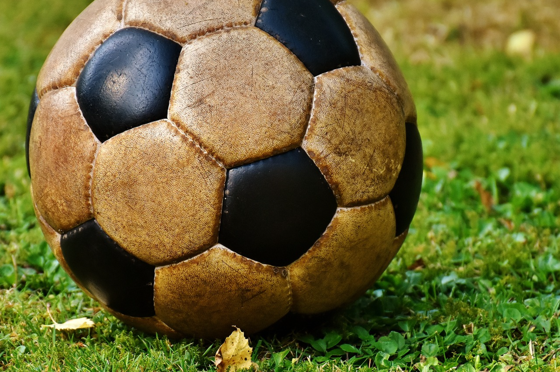 한일 월드컵 성공 요인 관련 사진