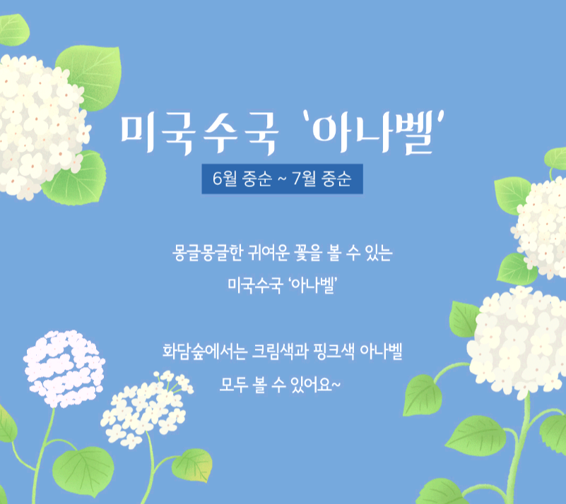 화담숲 수국축제