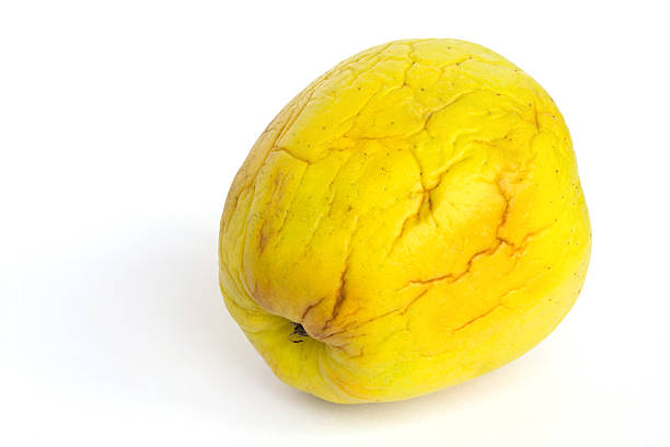 플라보놀(flavonol) 효능