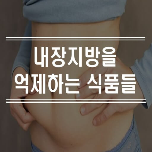 내장지방 억제 식품