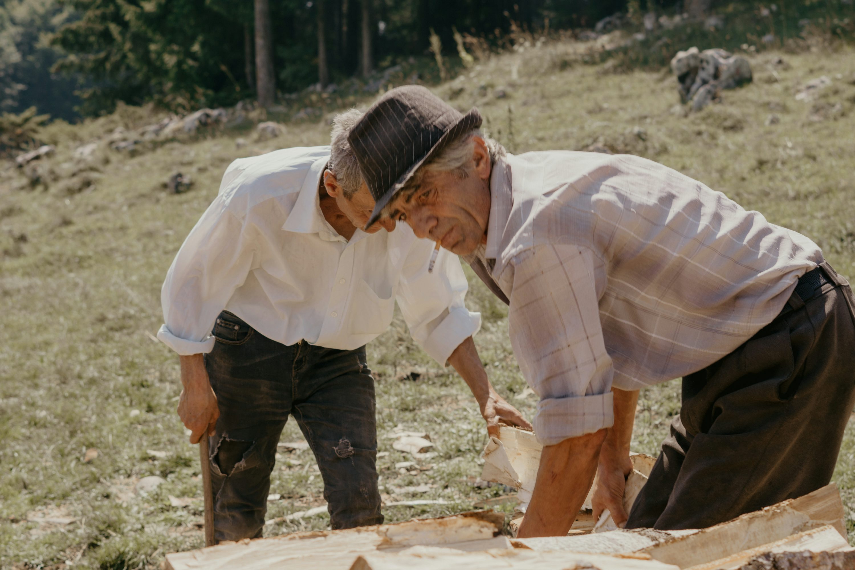 노인이 함께 일을 하고 있는 모습