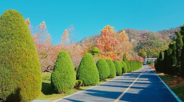 나주 산림자원연구소