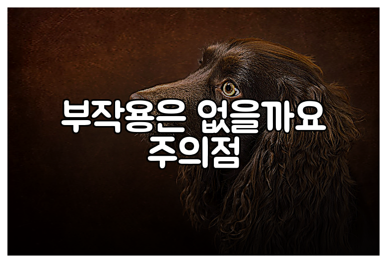 부작용은 없을까요 주의점