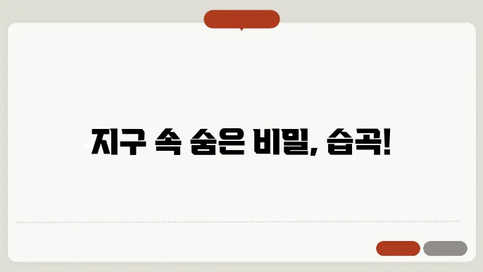 습곡