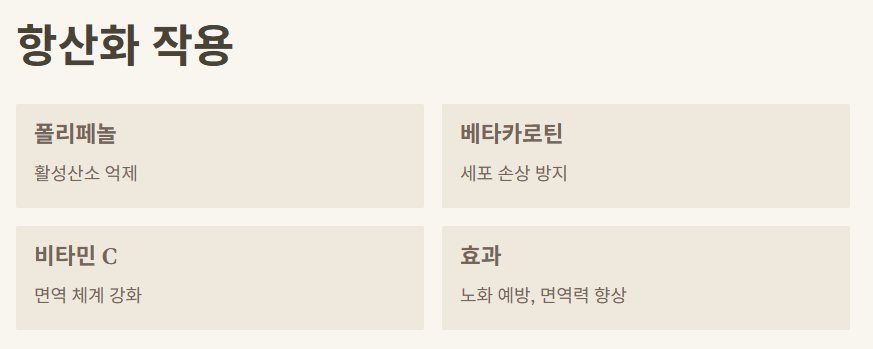 항산화 효능 이미지