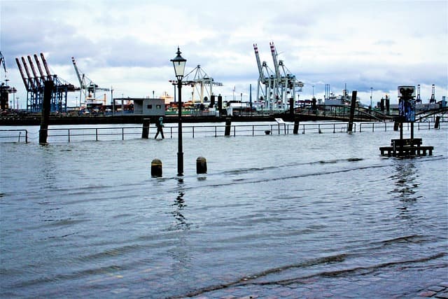염수 침투와 해안 생태계 붕괴: 해수면 상승 시대의 조용한 위기