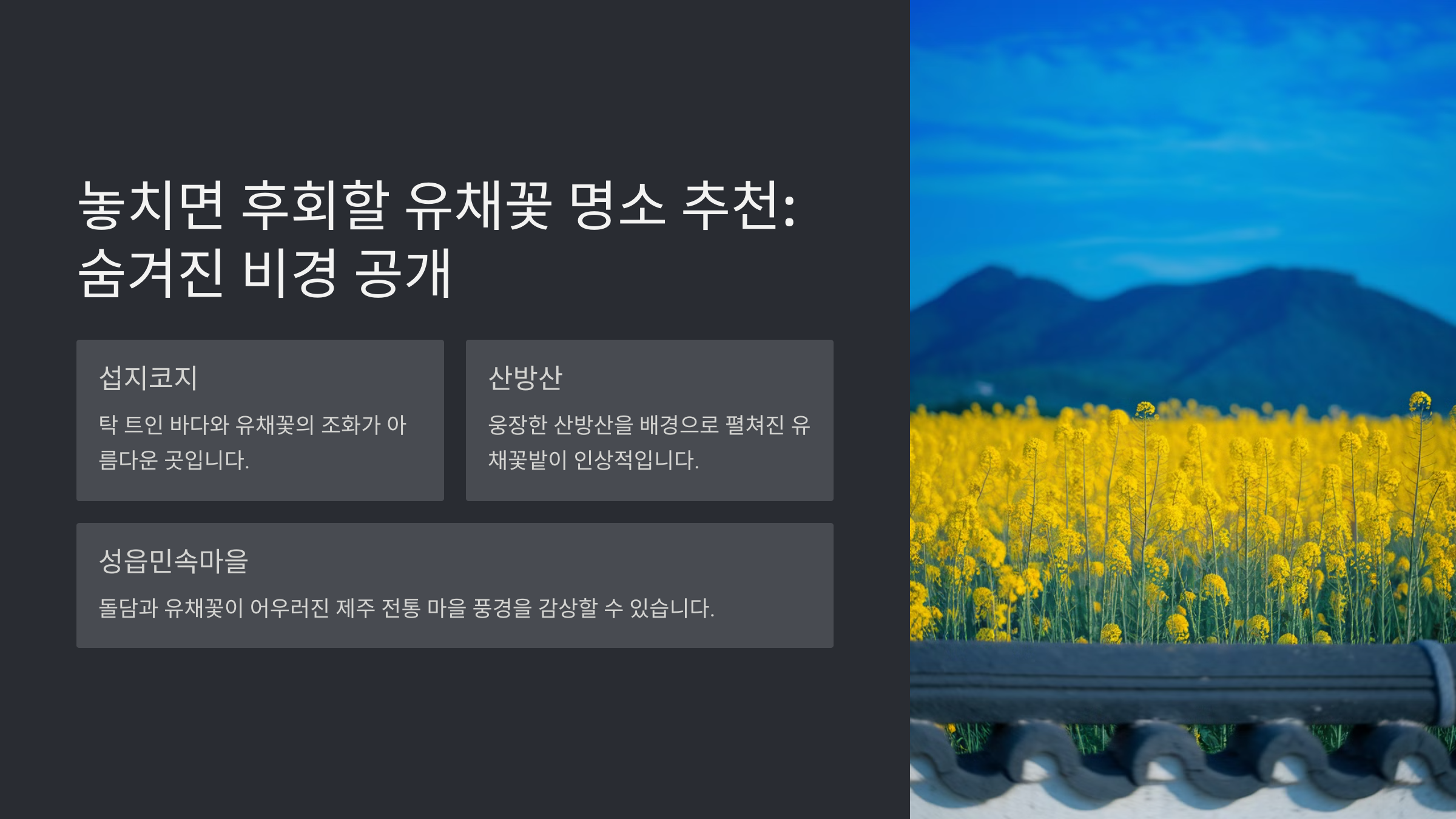 제주도 유채꽃 개화 시기와 명소