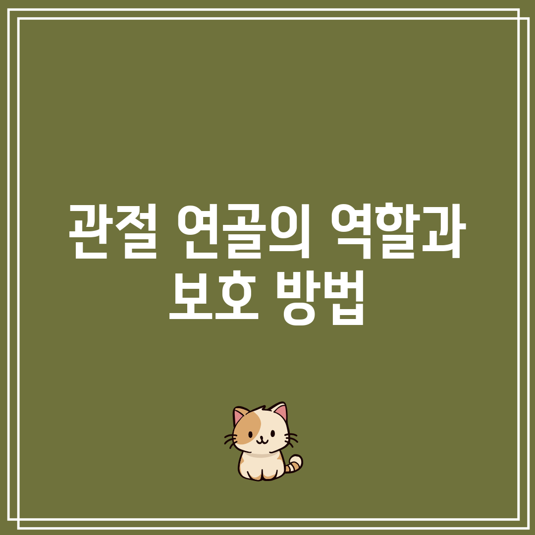 관절 연골의 역할과 보호 방법