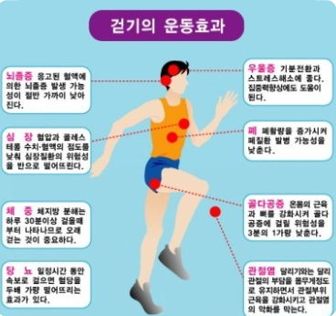 걷기의 심장 건강 효과 관련 이미지